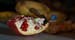 2015-oktober-nyilt-tanitasi-napok-zoldsegkostolas