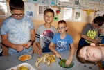 2015-oktober-nyilt-tanitasi-napok-zoldsegkostolas