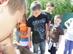 Madarak és fák napja 2013.