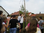 Májusfa állítás 2013.