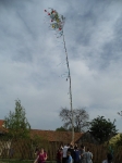 Májusfa állítás 2013.