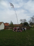 Májusfa állítás 2013.